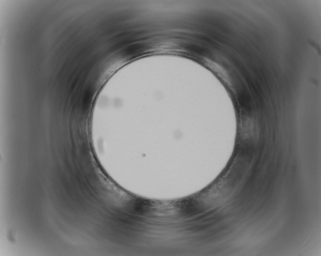 X0000097861338200803140847