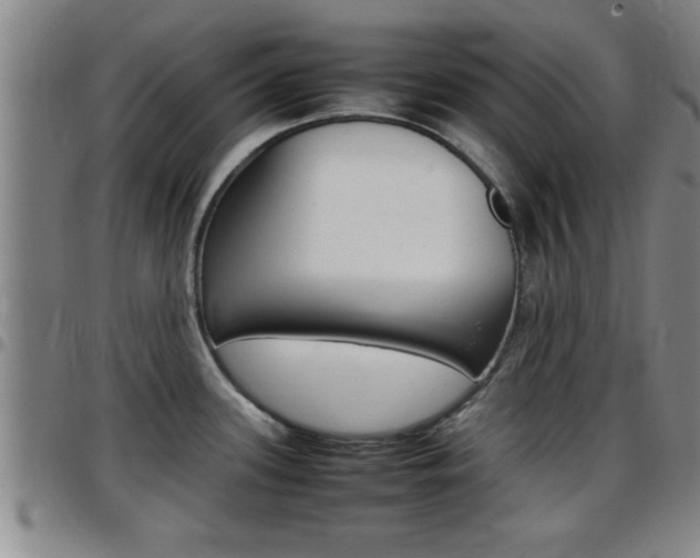 X0000097861339200803140847