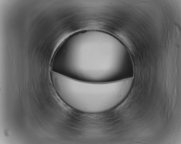 X0000097861340200803140848