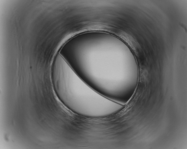 X0000097861342200803140848