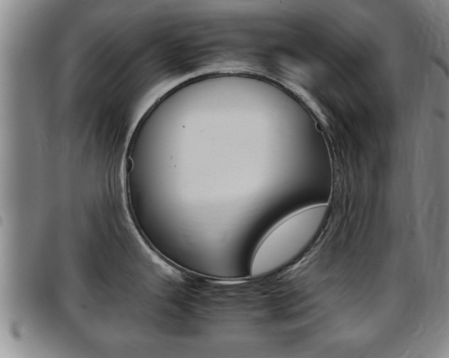 X0000097861343200803140848