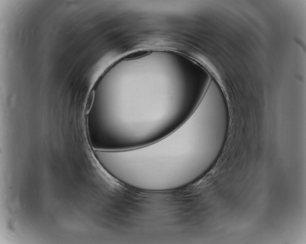 X0000097861344200803140848