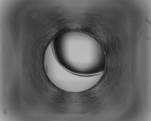 X0000097861345200803140847