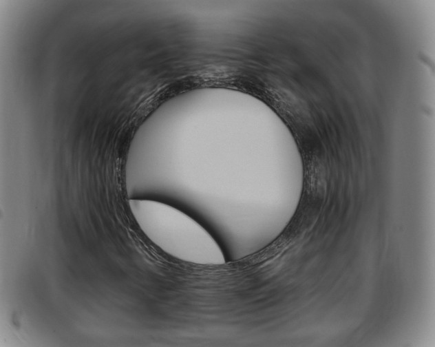 X0000097861346200803140847