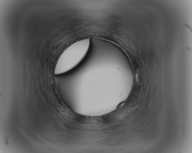 X0000097861347200803140847