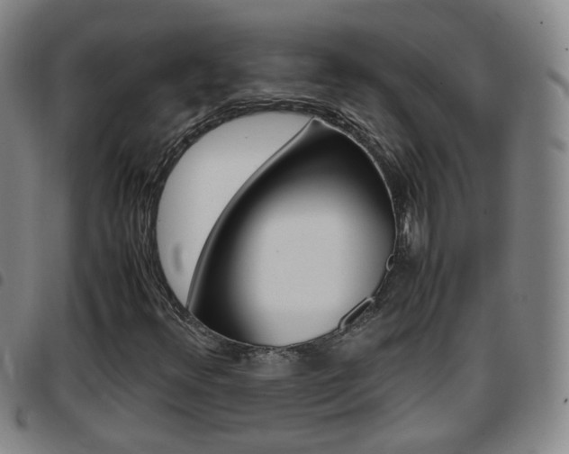 X0000097861348200803140847