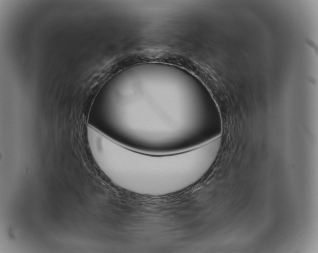 X0000097861349200803140847