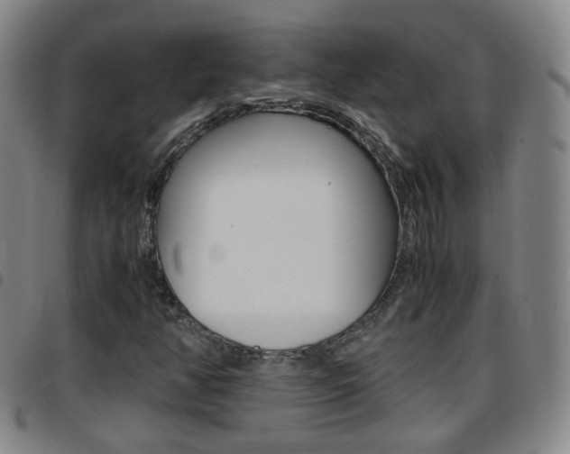 X0000097861350200803140847
