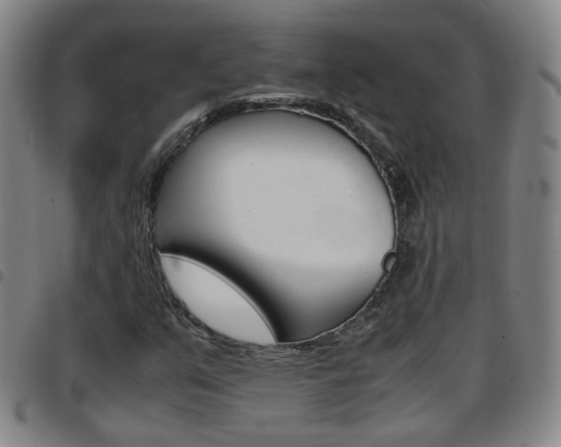 X0000097861351200803140847