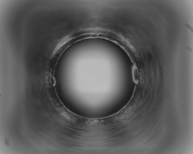 X0000097861352200803140847