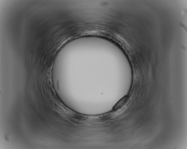 X0000097861353200803140847