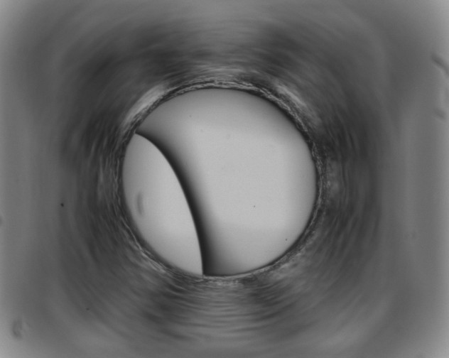 X0000097861354200803140847