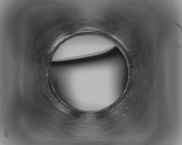 X0000097861355200803140847