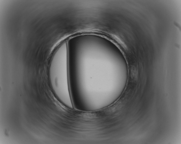 X0000097861356200803140847