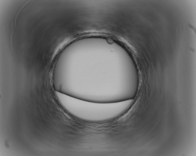 X0000097861357200803140847