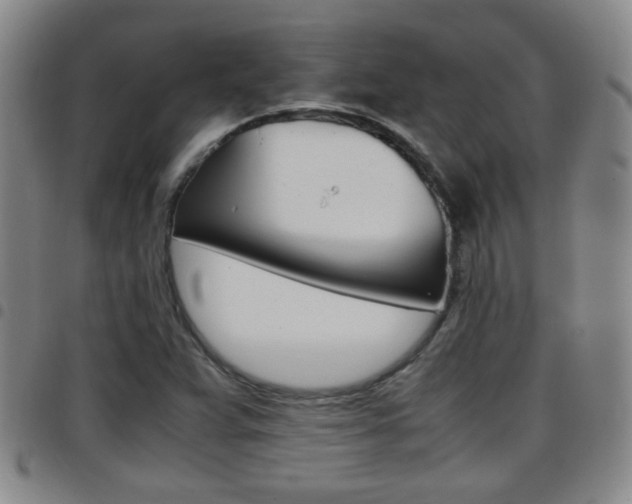 X0000097861359200803140847