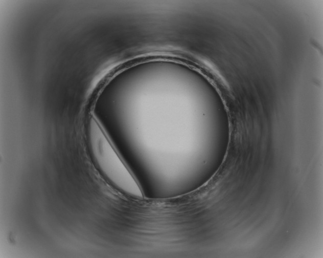 X0000097861360200803140847