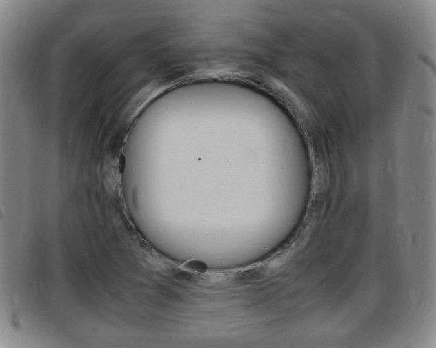 X0000097861361200803140847