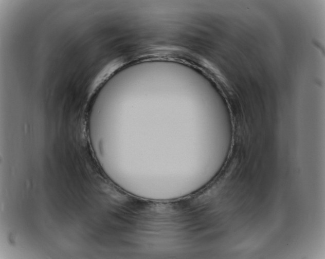 X0000097861362200803140847