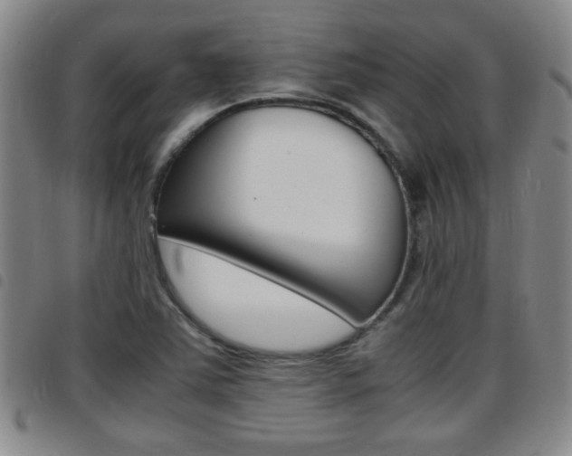 X0000097861363200803140846
