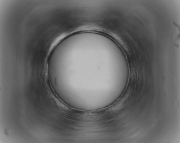 X0000097861366200803140846
