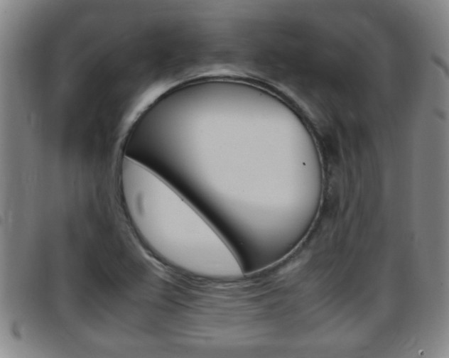 X0000097861367200803140846