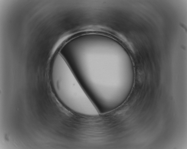 X0000097861368200803140846