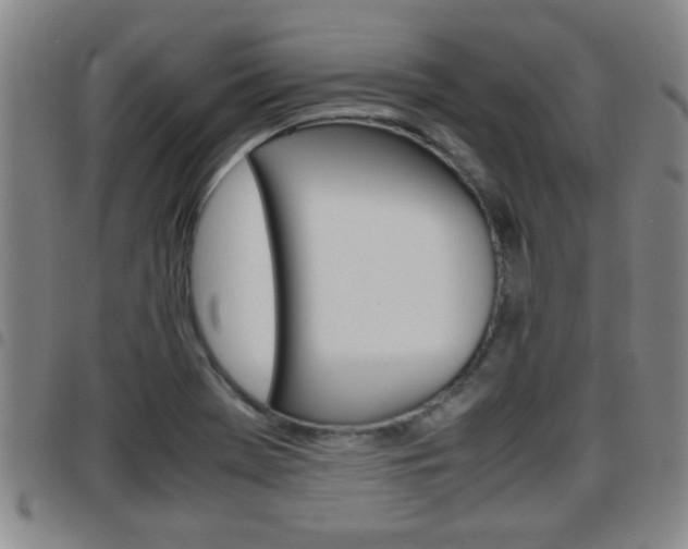 X0000097861369200803140846