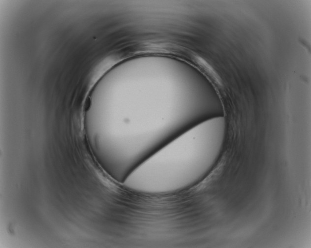 X0000097861370200803140846