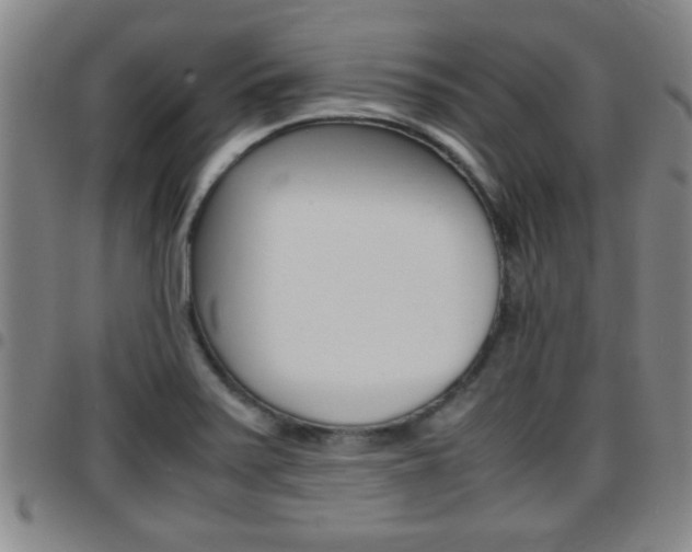 X0000097861371200803140846