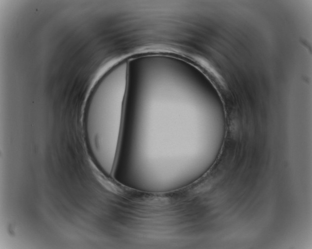 X0000097861372200803140846