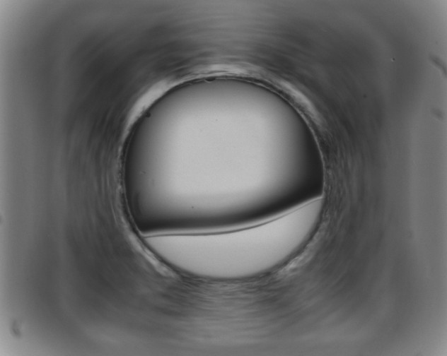 X0000097861373200803140846
