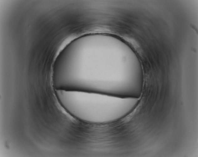 X0000097861374200803140846