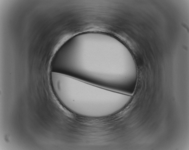 X0000097861375200803140846