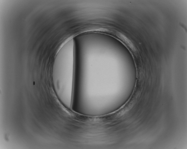 X0000097861377200803140846