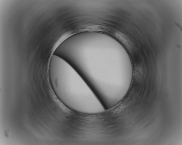 X0000097861378200803140846