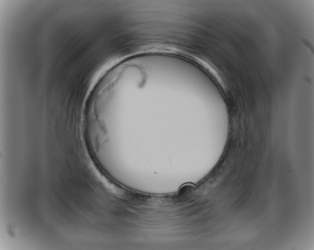 X0000097861379200803140846