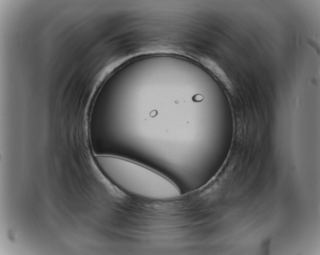 X0000097861380200803140846