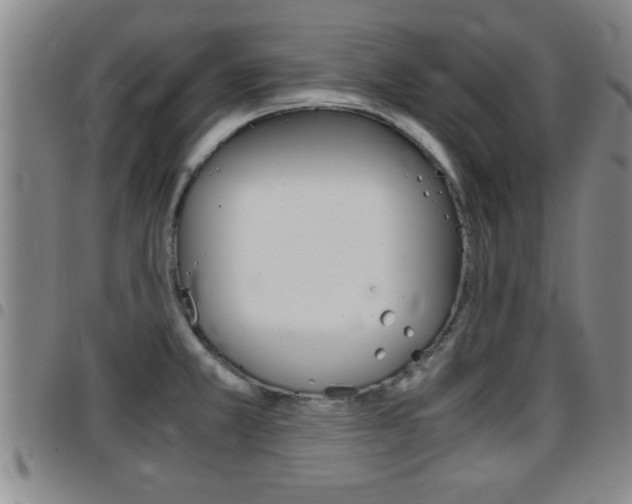 X0000097861381200803140846