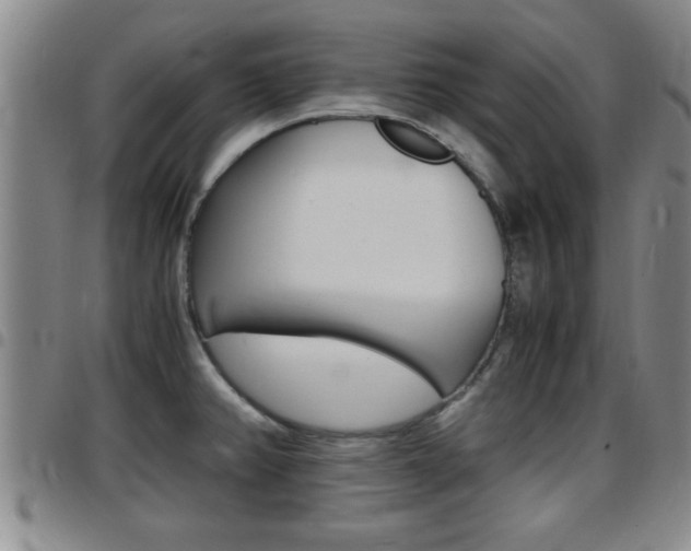 X0000097861382200803140846