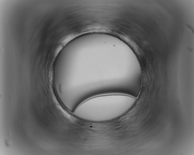 X0000097861383200803140846