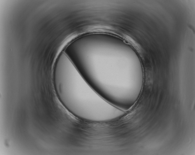 X0000097861384200803140846