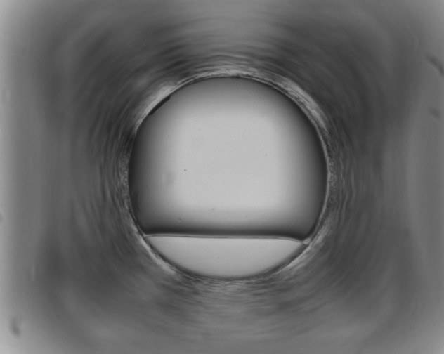 X0000097861385200803140846
