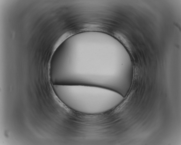 X0000097861386200803140846