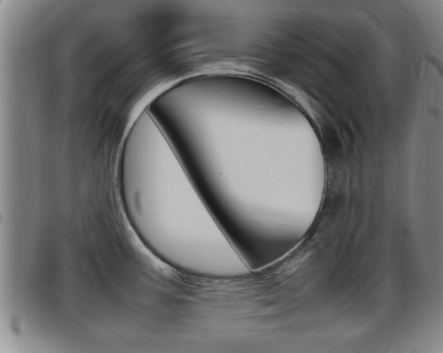 X0000097861387200803140846