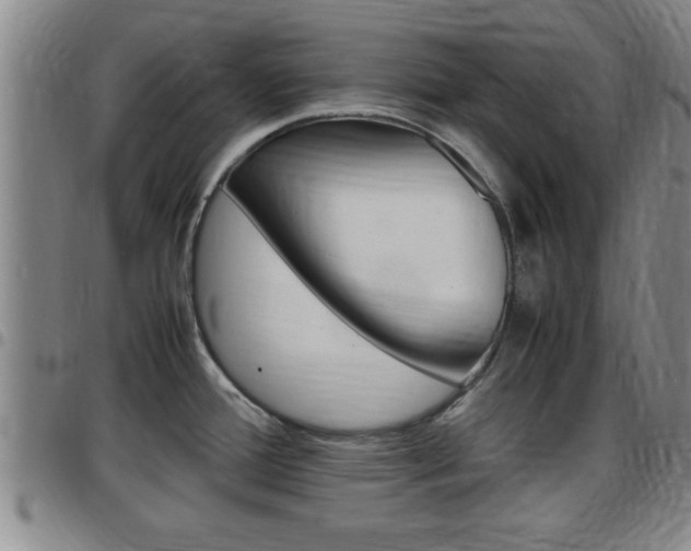 X0000097861388200803140846