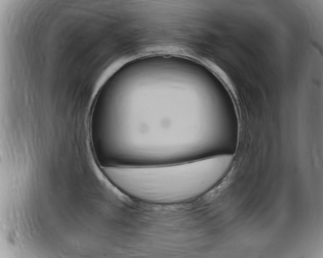 X0000097861389200803140846