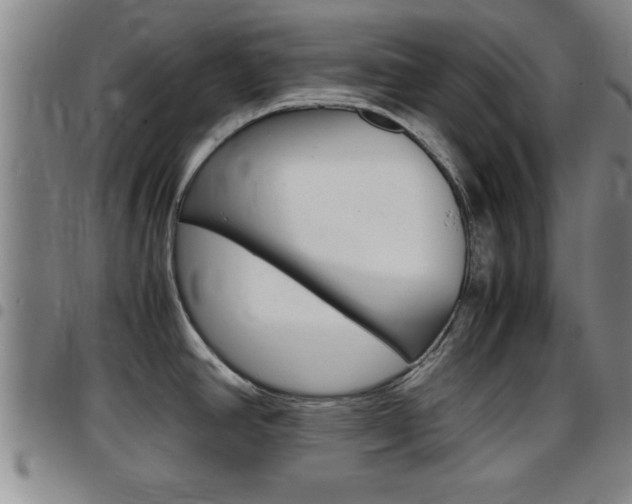 X0000097861390200803140846