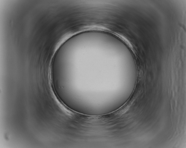 X0000097861391200803140846