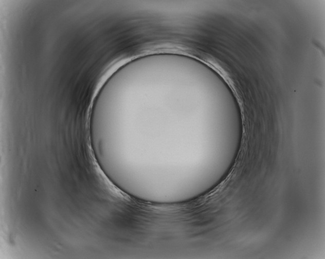 X0000097861392200803140846